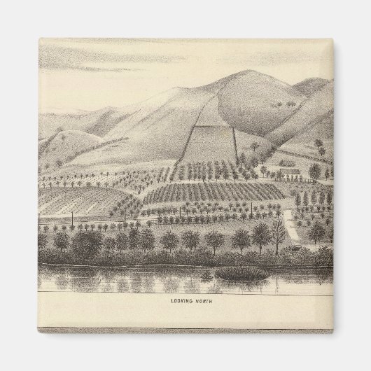 Mizzen Top Rancho Magneet (Voorkant)