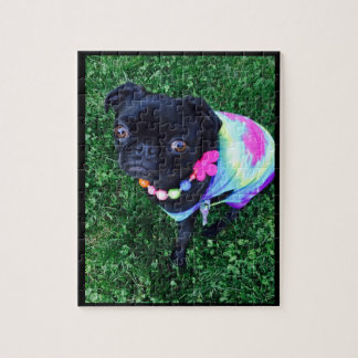 Mlle Harley Pug Puzzle
