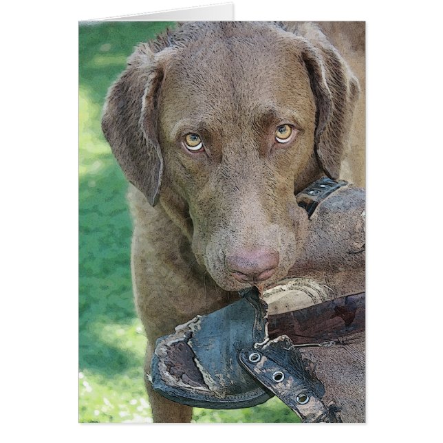 Mlle SHOE ! (Devant)