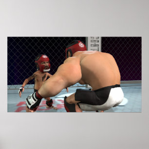 MMA-bestrijding - klein Poster