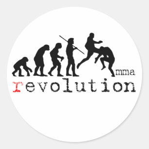 MMA Evolutiecijfer vliegende knie sticker