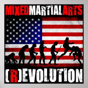 MMA - Evolution (Revolution) Chart Flag Poster