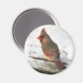 Mme Cardinal Bird Magnet (Recto/Verso)