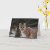 MMM! KAART (Gele Bloem)