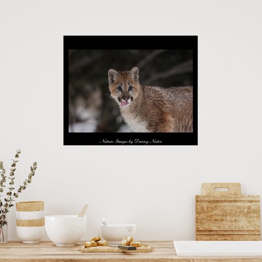 MMM - Poster (Cuisine)