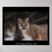 MMM - Poster (Devant)