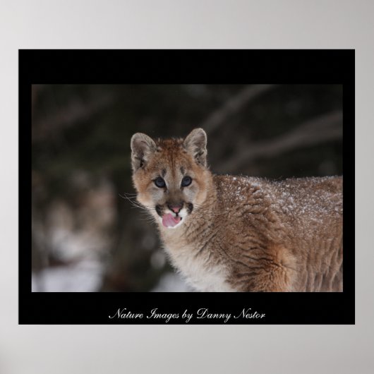 MMM - Poster (Devant)