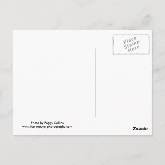 Mmmmmm, Koffie! Briefkaart (Achterkant)