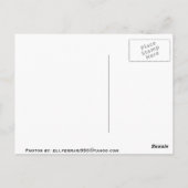 MN BRIEFKAART (Achterkant)