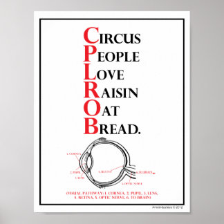 Mnemonic: Circus People Love = Visual Path Poster