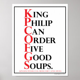 Mnemonic: King Philip = Soortidentificatie Poster