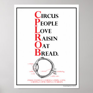 Mnemotechnisch: Circus People Love = Visual Path Poster