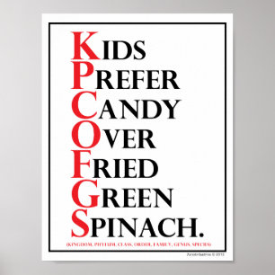 Mnemotechnisch: Kinder Snoep - Poster