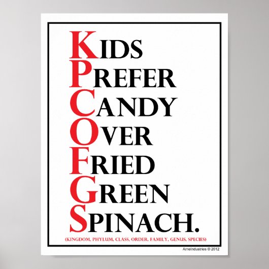 Mnemotechnisch: Kinder Snoep - Poster (Voorkant)