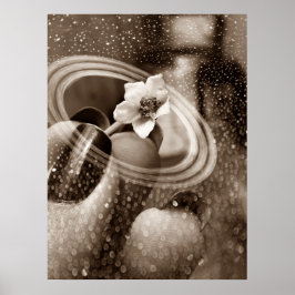 mni flor de pimentão poster