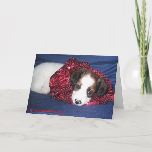 "Mo" het Vrolijke Wenskaart van Kerstmis Feestdagen Kaart (Voorkant)