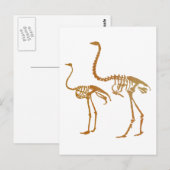 Moa en struisgras briefkaart (Voorkant / Achterkant)