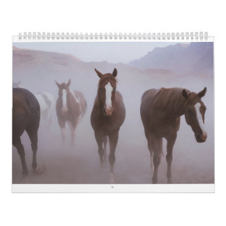 Moab Horses Kalender