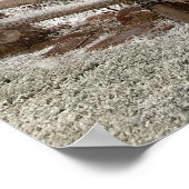 Moab Snow Poster (Hoek)