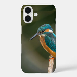 Mobiele telefooncel iPhone 16 hoesje