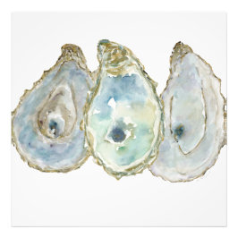 Mobile Bay Oesters-3 Foto Afdruk