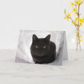 Moby in sneeuw kaart (Gele Bloem)