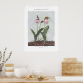 Moccasin Flower; Stemless Lady's-Slipper Poster (Keuken)