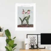 Moccasin Flower; Stemless Lady's-Slipper Poster (Thuiskantoor)