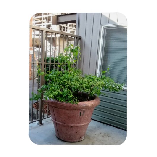 Mock Oranje Magneet (Verticaal)