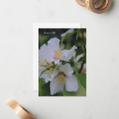 Mock Oranje ventilator Notitiekaartje (Voorkant / Achterkant in situ)