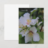 Mock Oranje ventilator Notitiekaartje (Voorkant / Achterkant)