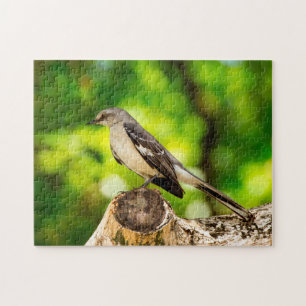 Mocking Bird Florida. Legpuzzel