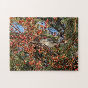 Mockingbird and Virginia Creeper Legpuzzel