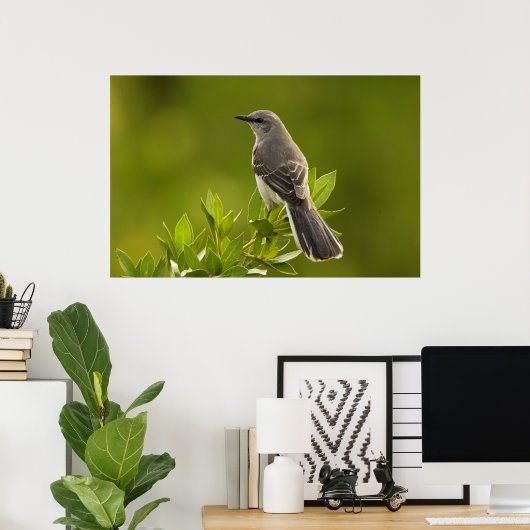 Mockingbird Bird Lovers Gifts Poster (Thuiskantoor)