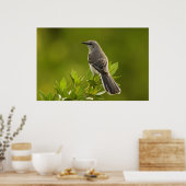 Mockingbird Bird Lovers Gifts Poster (Keuken)