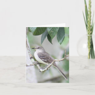 Mockingbird Foto Folded Note Kaart