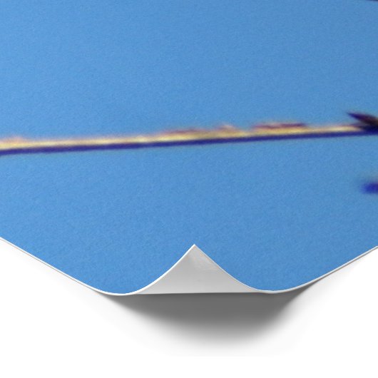 Mockingbird II Poster (Hoek)