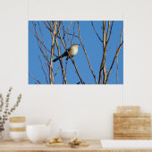 Mockingbird II Poster (Keuken)