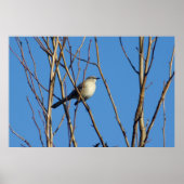 Mockingbird II Poster (Voorkant)