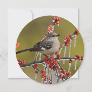 Mockingbird Perch op Icy Holly Branch Feestdagenkaart