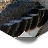 Mockingbird's Crown Poster (Hoek)