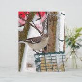 Mockingvogel Briefhoofd (Staand voorkant)