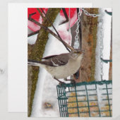 Mockingvogel Briefhoofd (Voorkant / Achterkant)