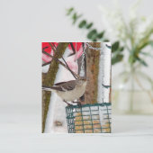 Mockingvogel Briefkaart (Staand voorkant)