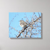 Mockingvogel Canvas Afdruk (Voorkant)