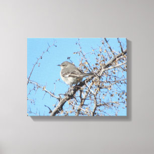 Mockingvogel Canvas Afdruk