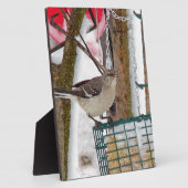 Mockingvogel Fotoplaat (Zijkant)