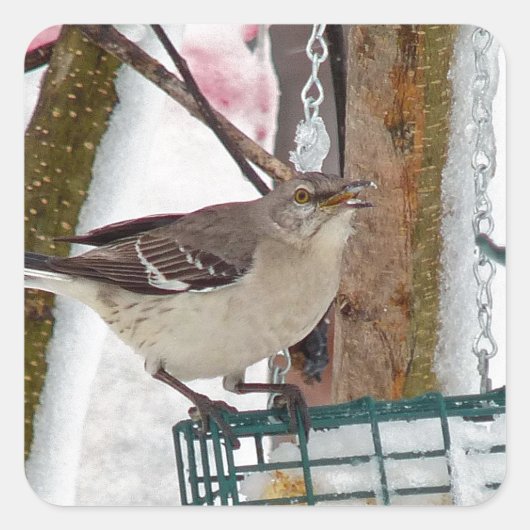 Mockingvogel Vierkante Sticker (Voorkant)