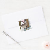 Mockingvogel Vierkante Sticker (Envelop)
