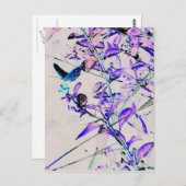 Mod Butterfly - Briefkaart (Voorkant / Achterkant)